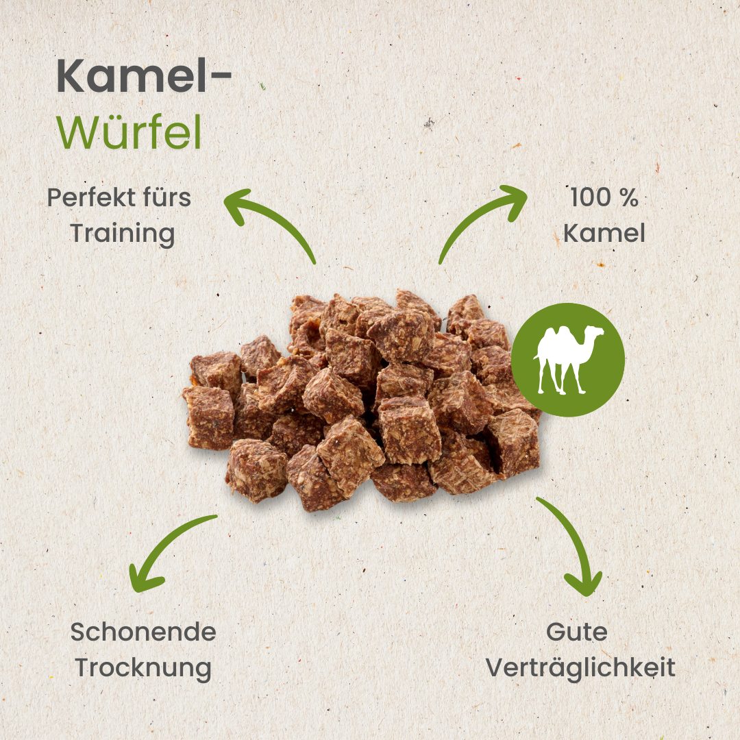 Kamel-Würfel