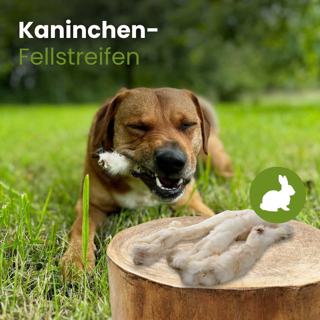Kaninchen-Fellstreifen
