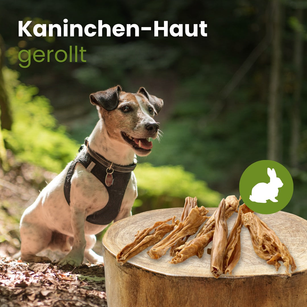 Kaninchen-Haut, gerollt
