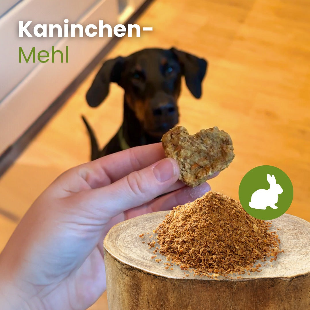 Kaninchen-Mehl
