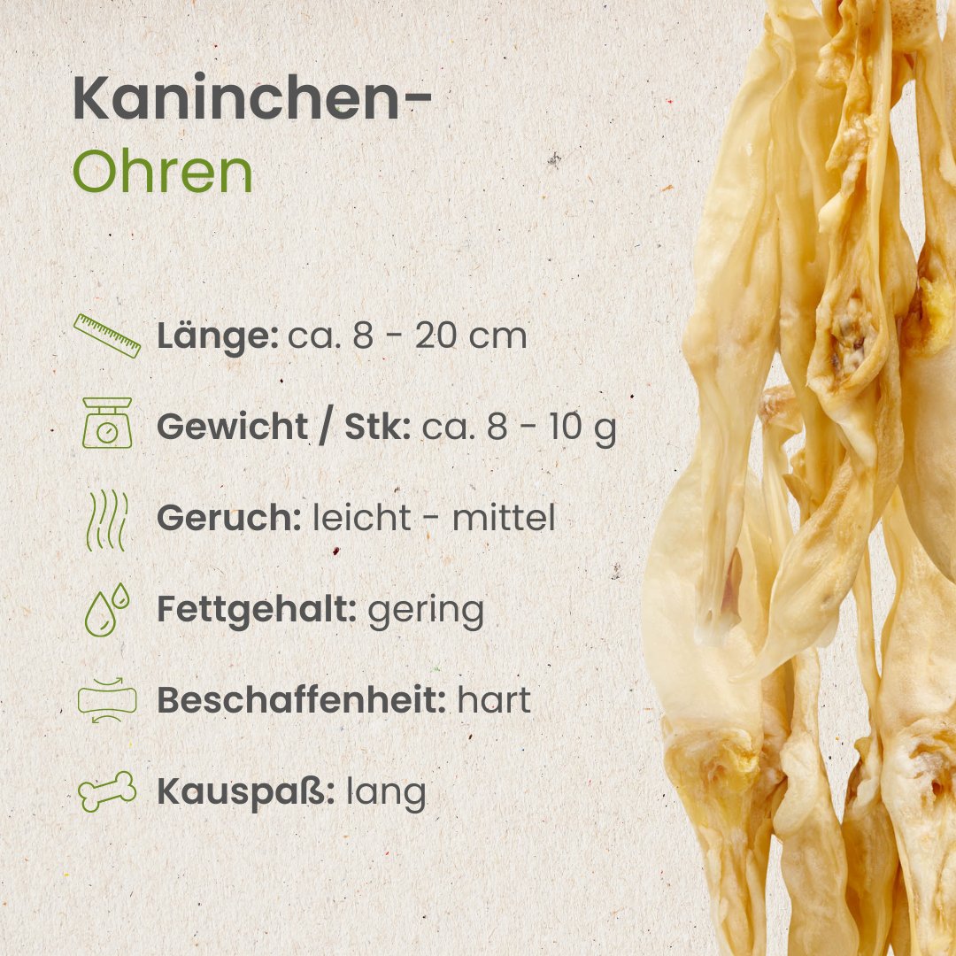 Kaninchen-Ohren