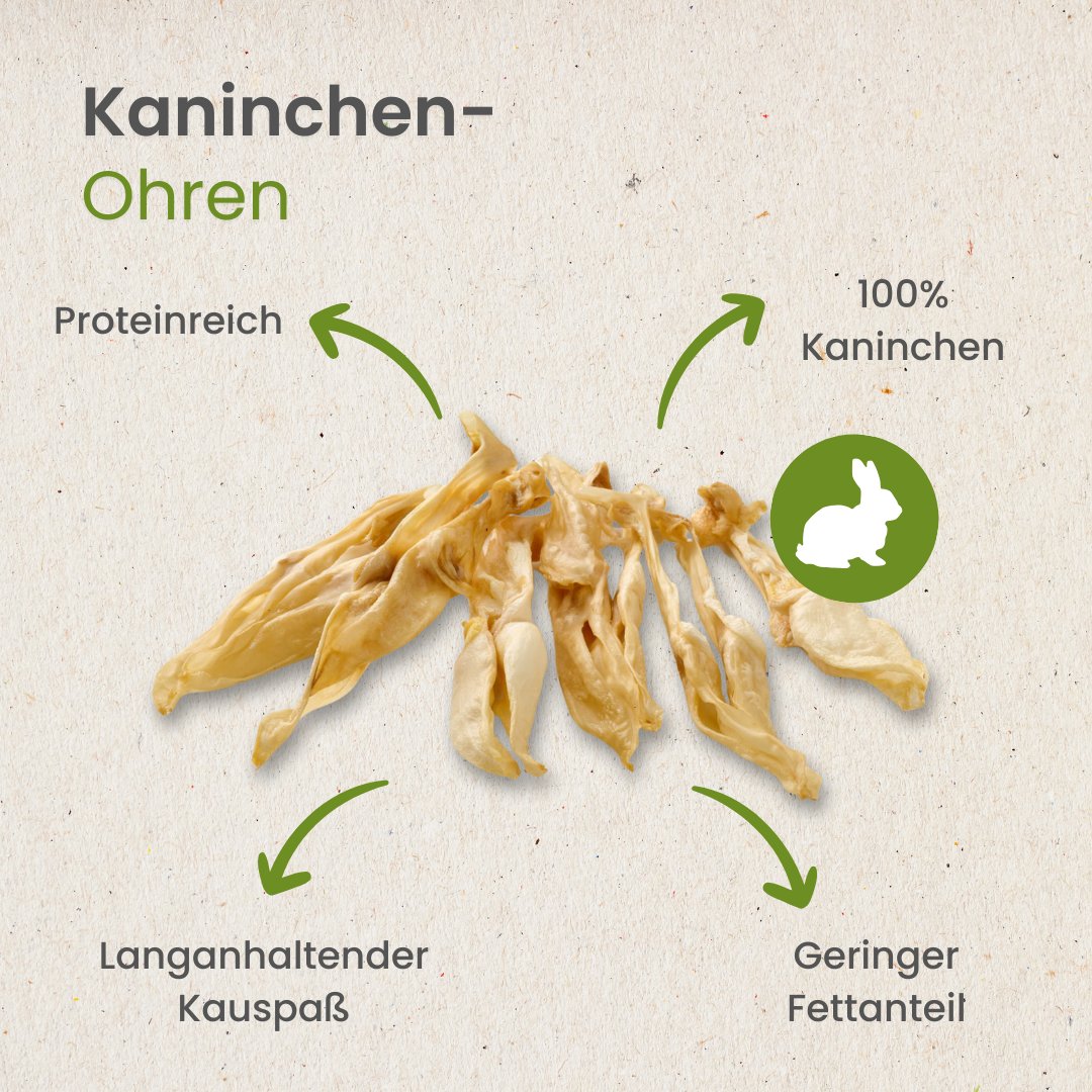 Kaninchen-Ohren