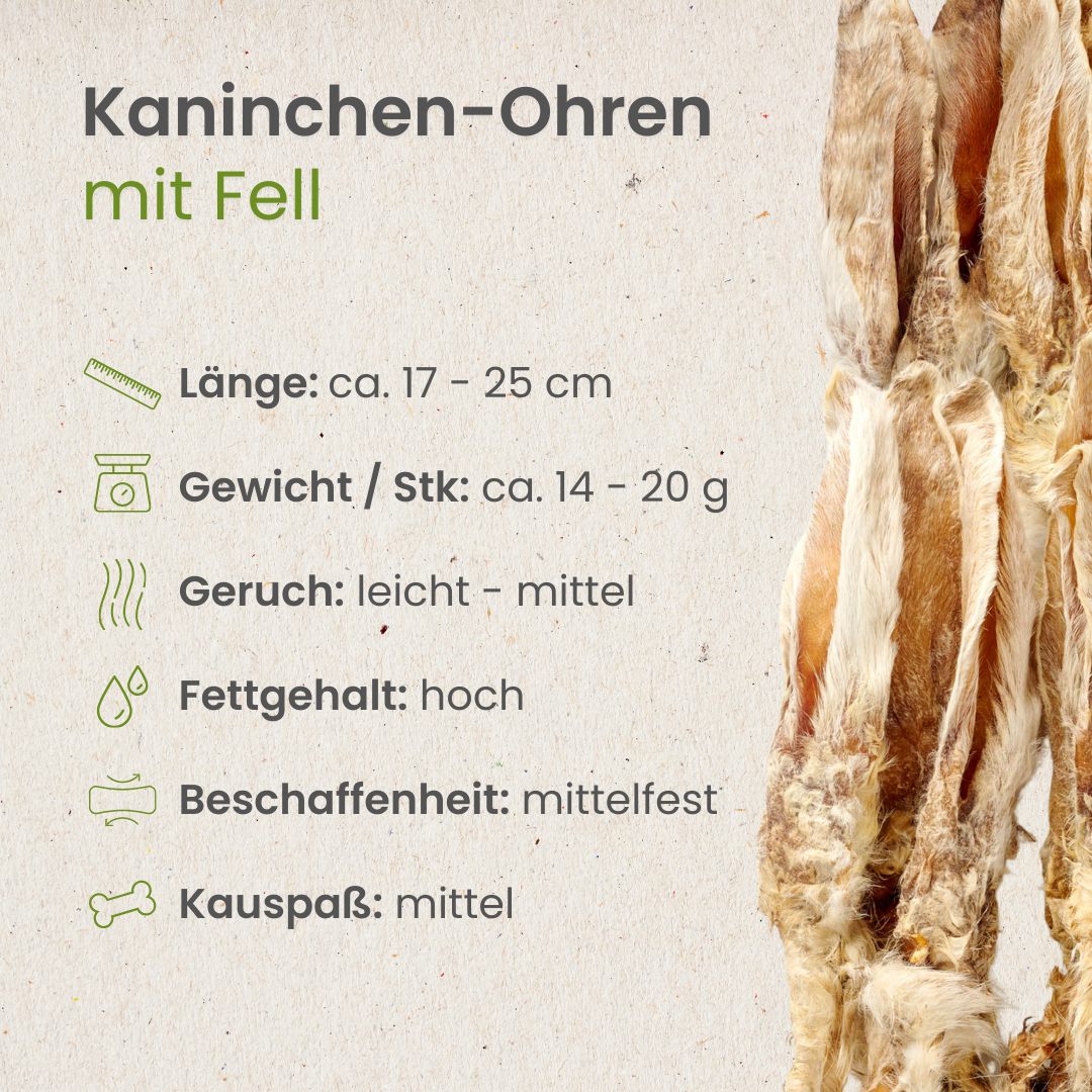 Kaninchen-Ohren mit Fell