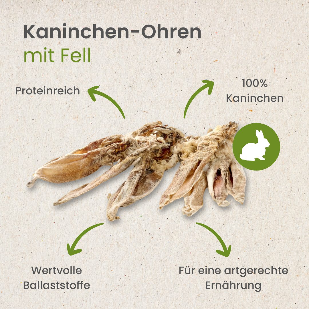 Kaninchen-Ohren mit Fell