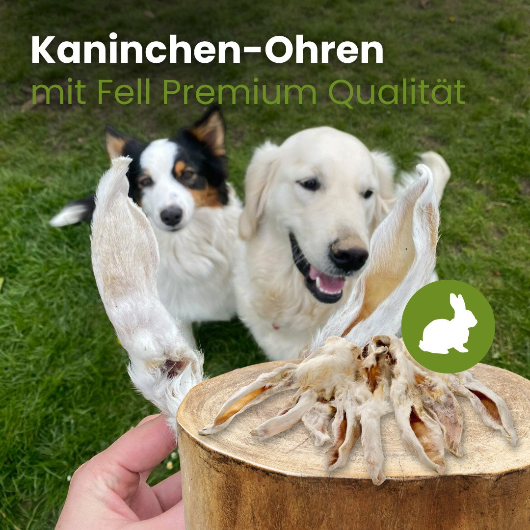 Kaninchen-Ohren mit Fell Premium Qualität