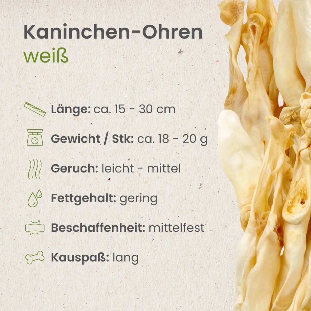 Kaninchen-Ohren, weiß