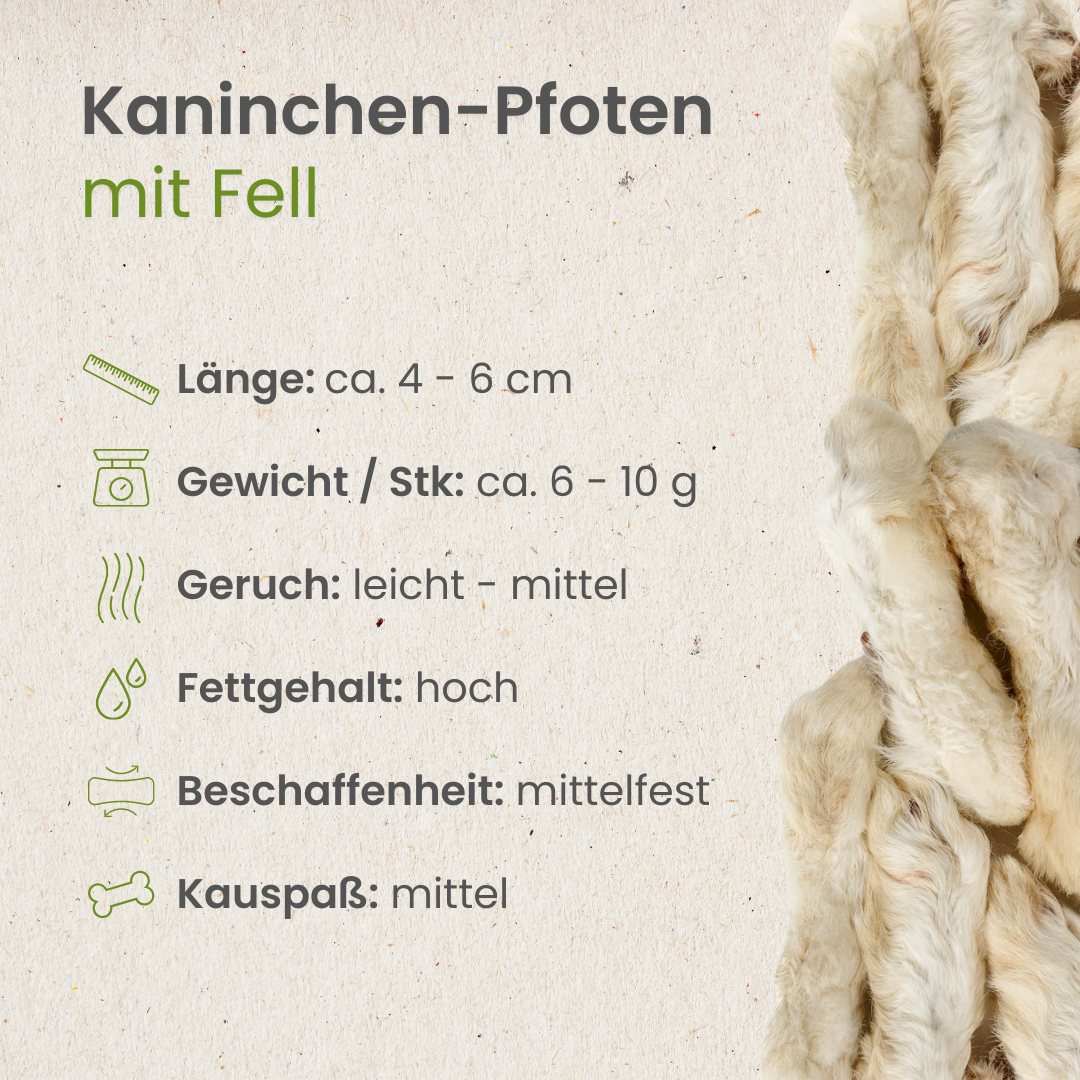 Kaninchen-Pfoten mit Fell