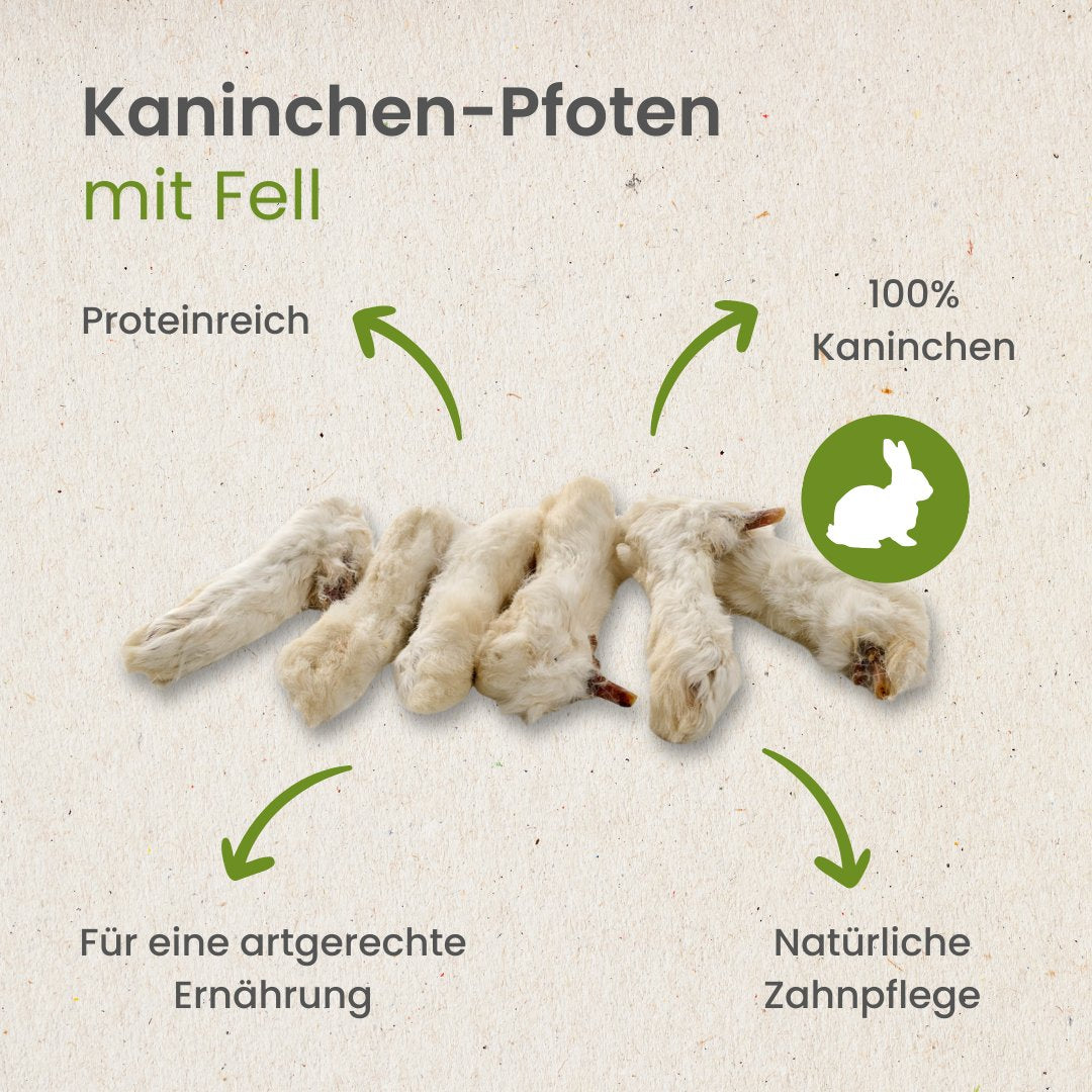 Kaninchen-Pfoten mit Fell