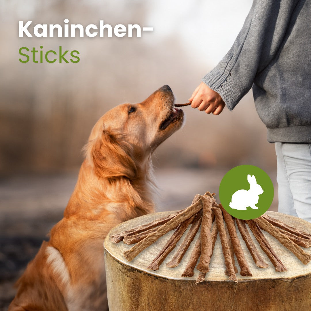 Kaninchen-Sticks