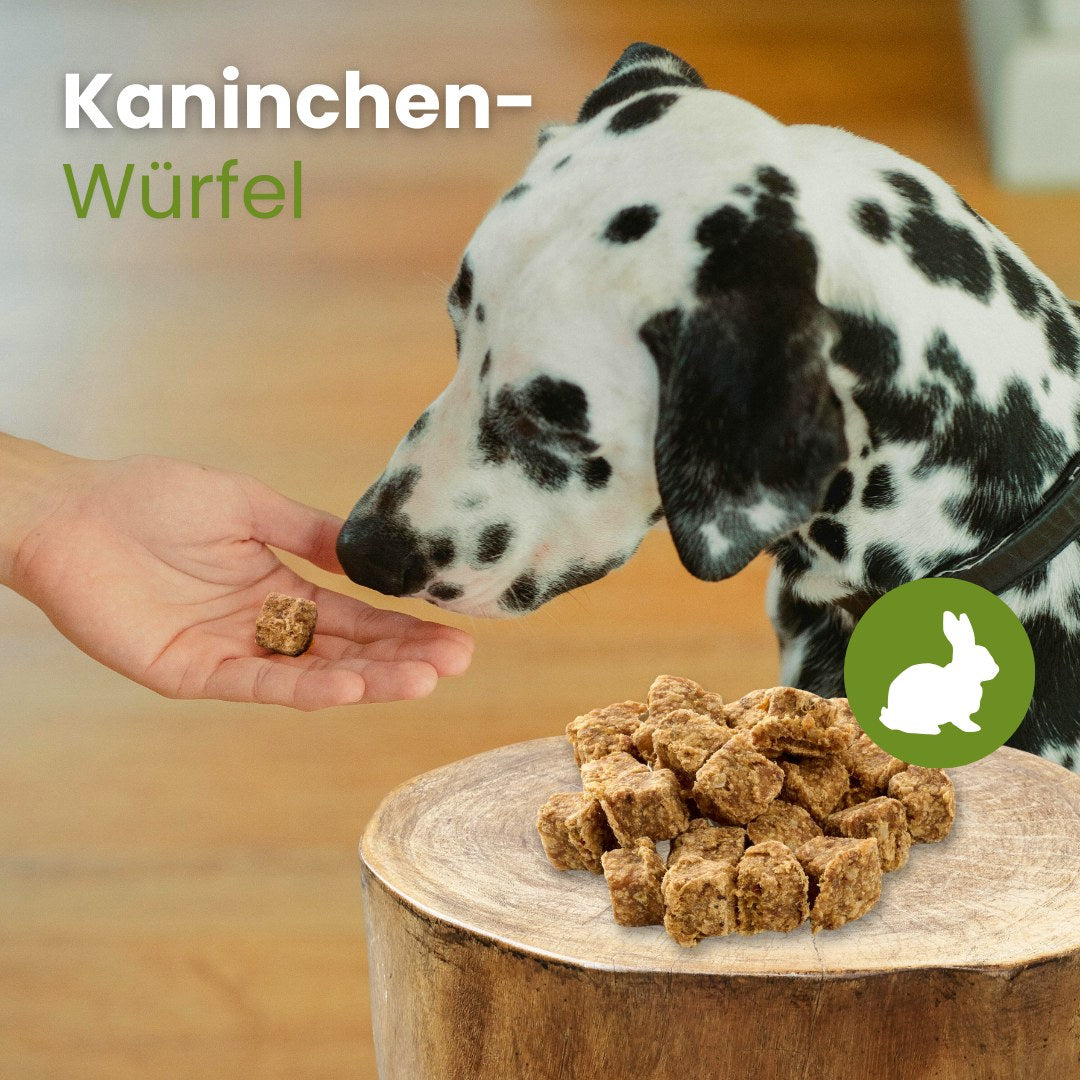 Kaninchen-Würfel