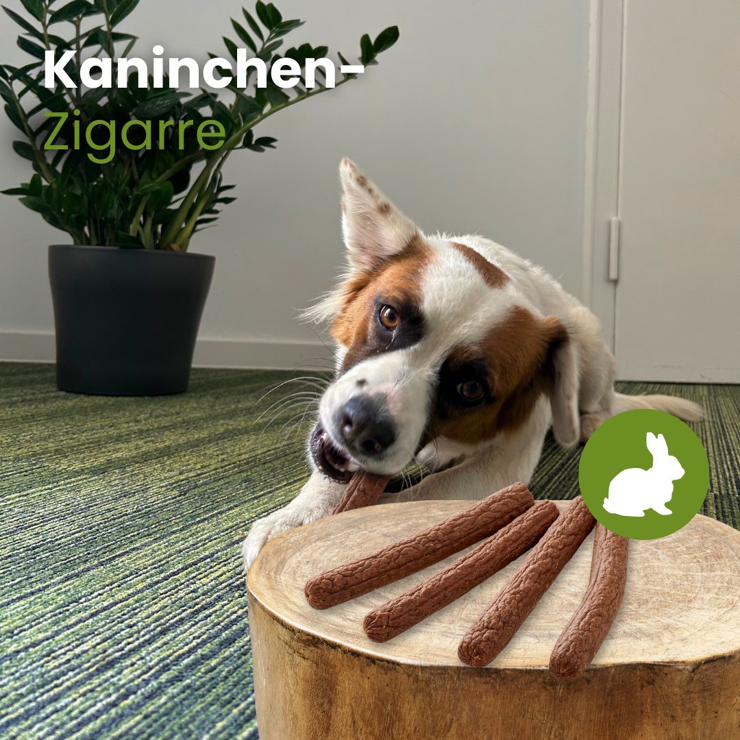 Kaninchen-Zigarre