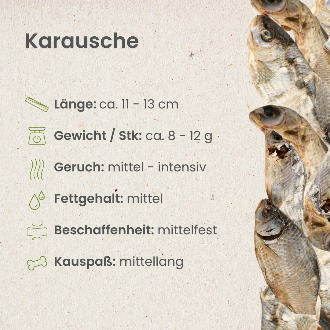Karausche