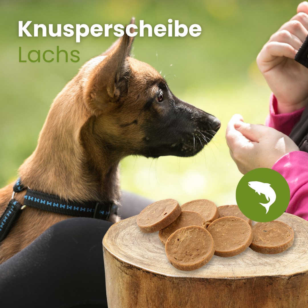 Lachs-Knusperscheibe