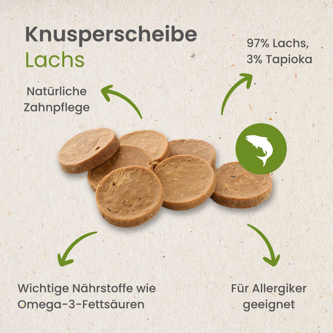 Lachs-Knusperscheibe