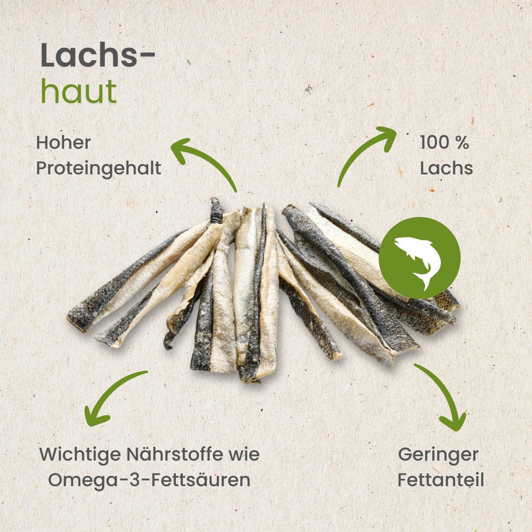 Lachshaut
