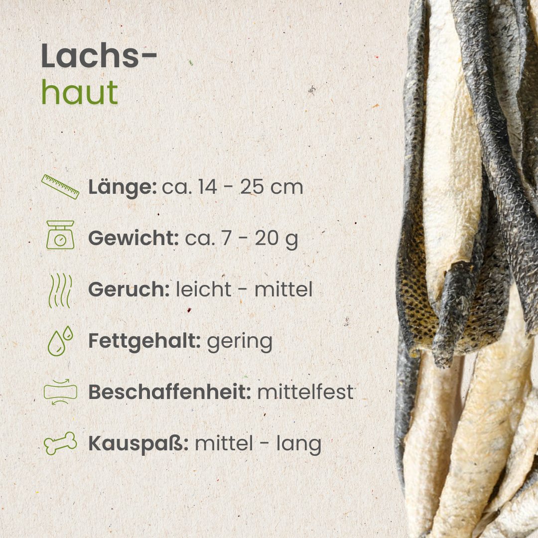 Lachshaut