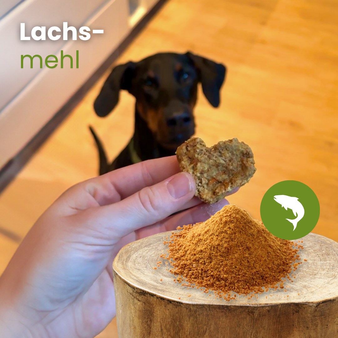 Lachs-Mehl