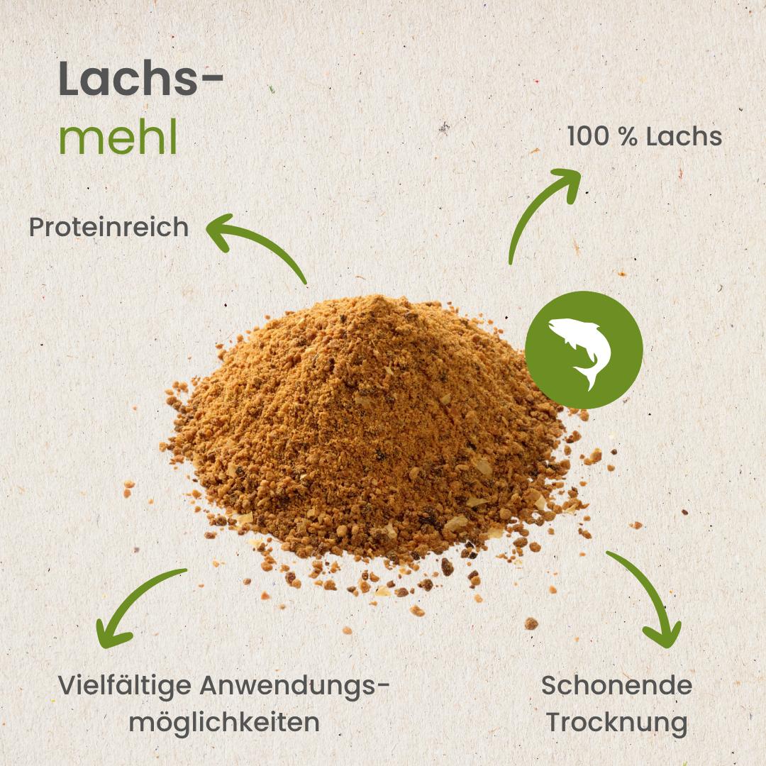 Lachs-Mehl
