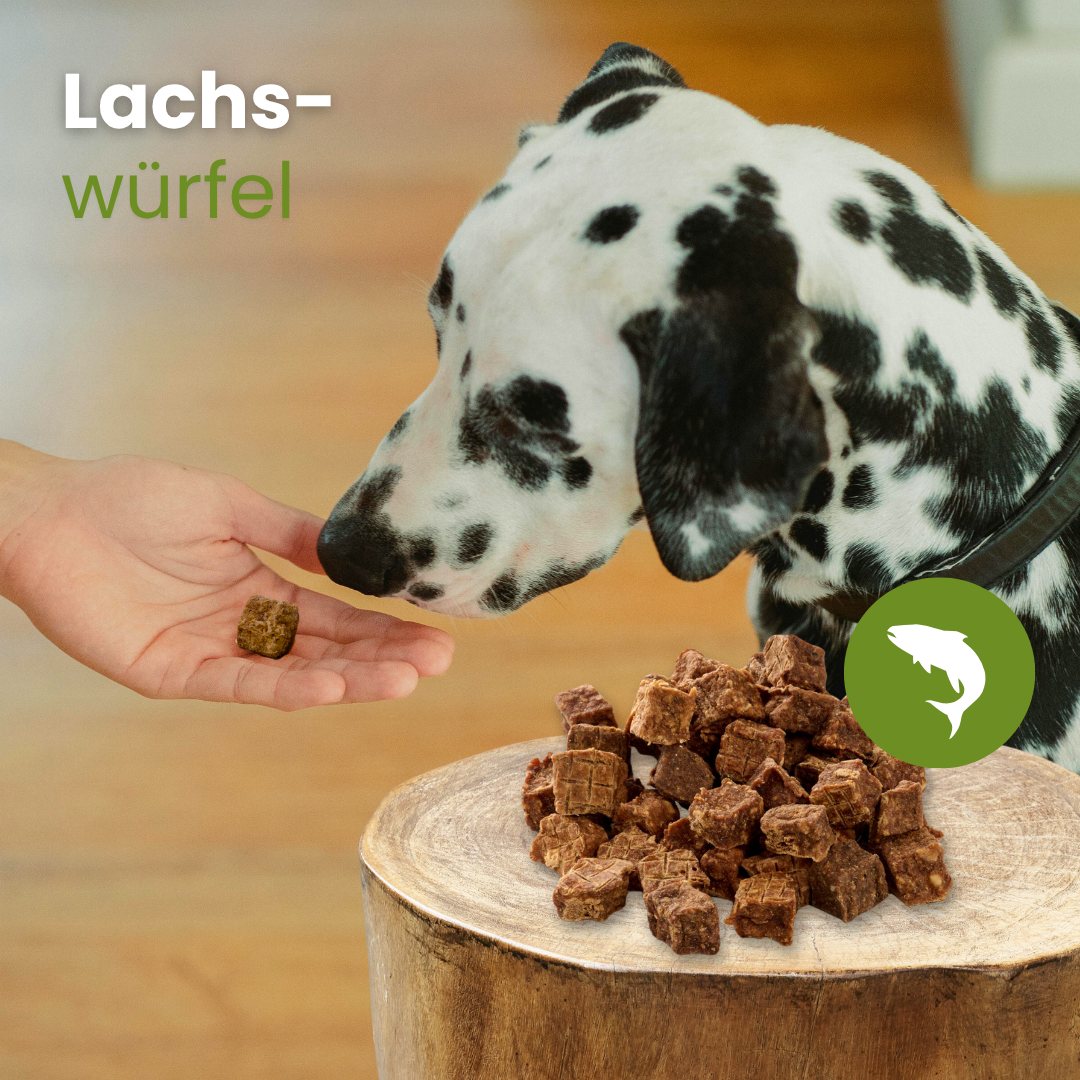 Lachs-Würfel