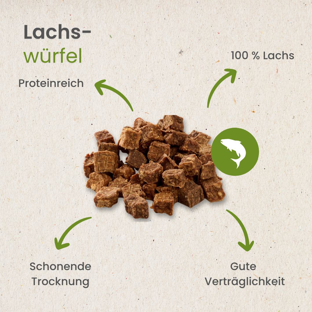 Lachs-Würfel