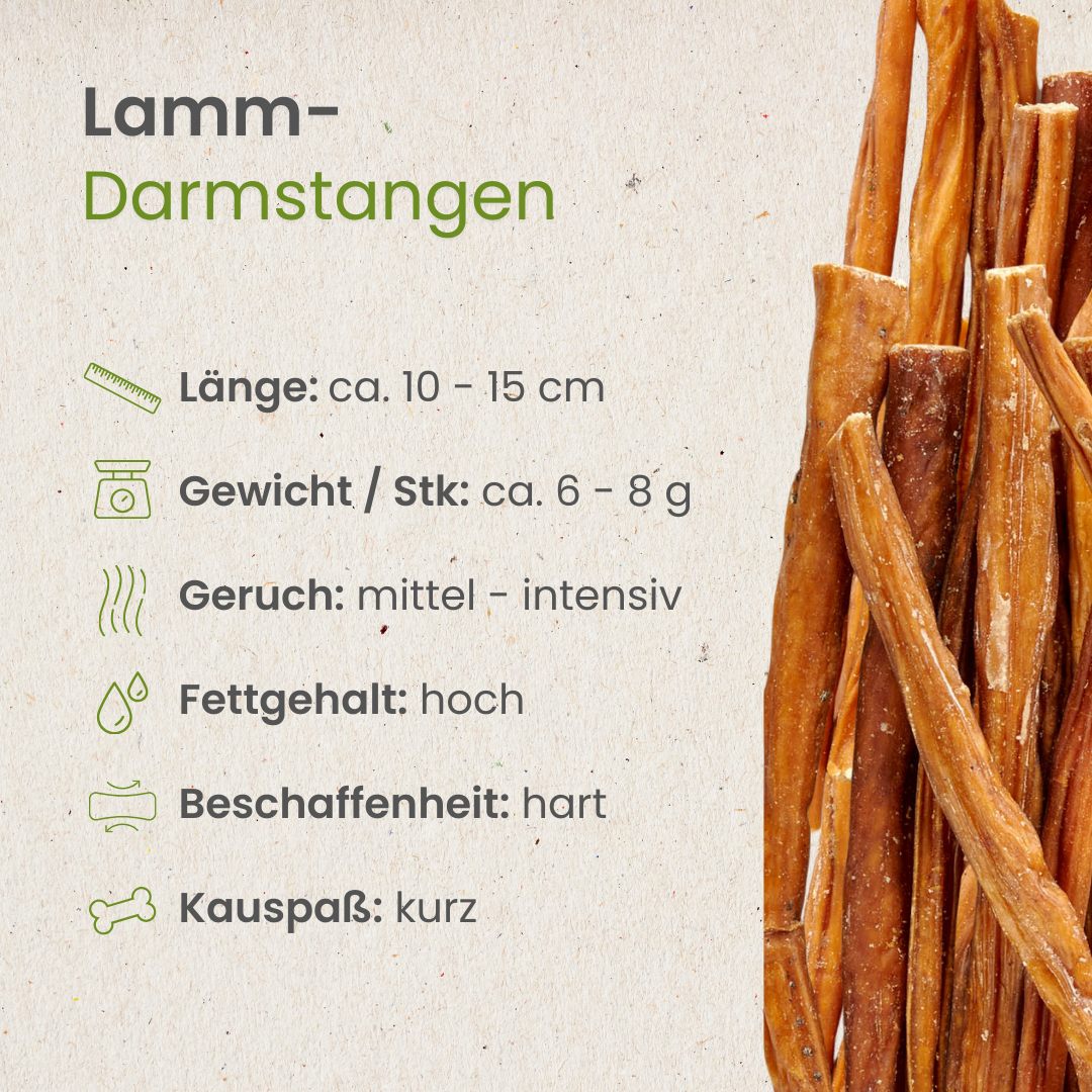 Lamm-Darmstangen