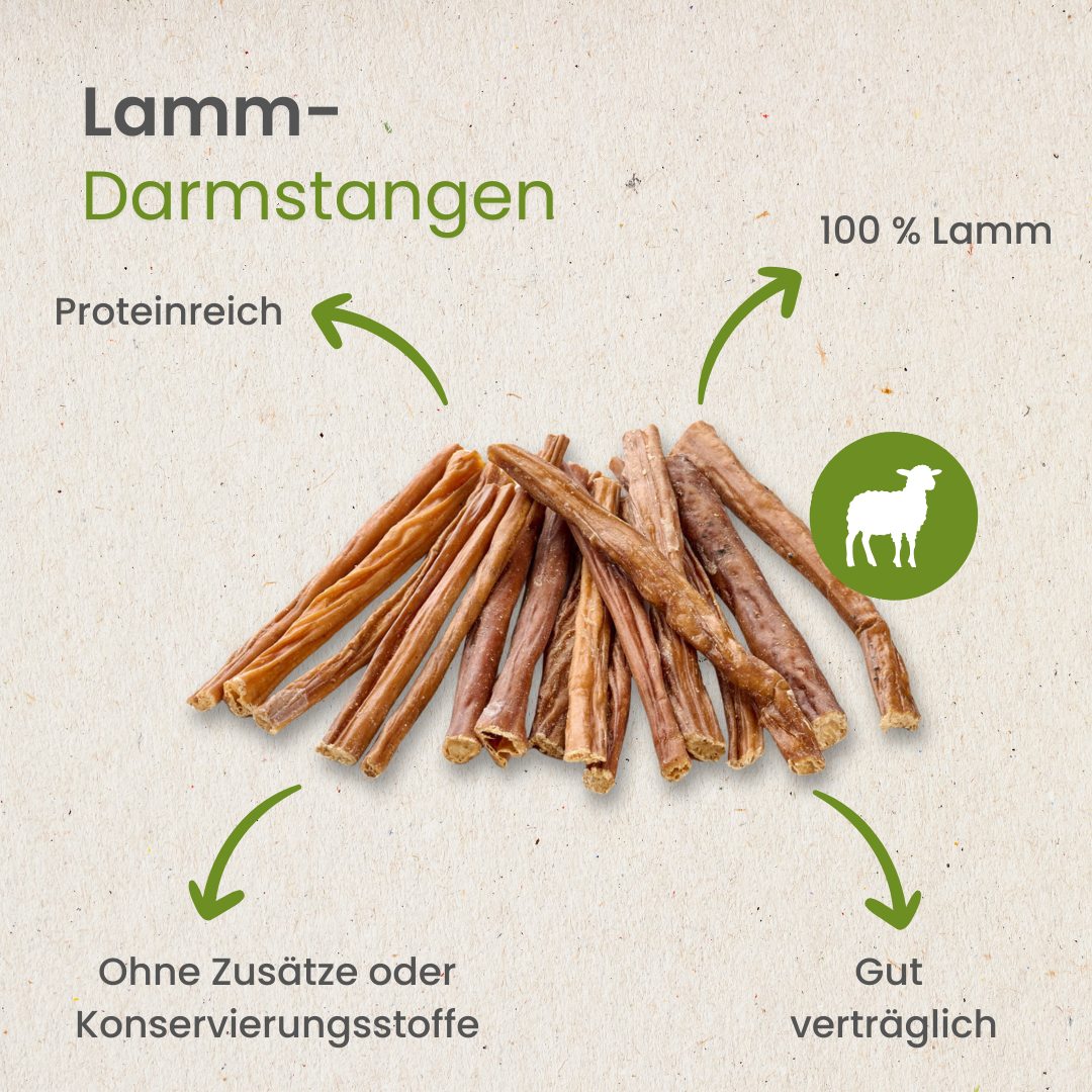 Lamm-Darmstangen