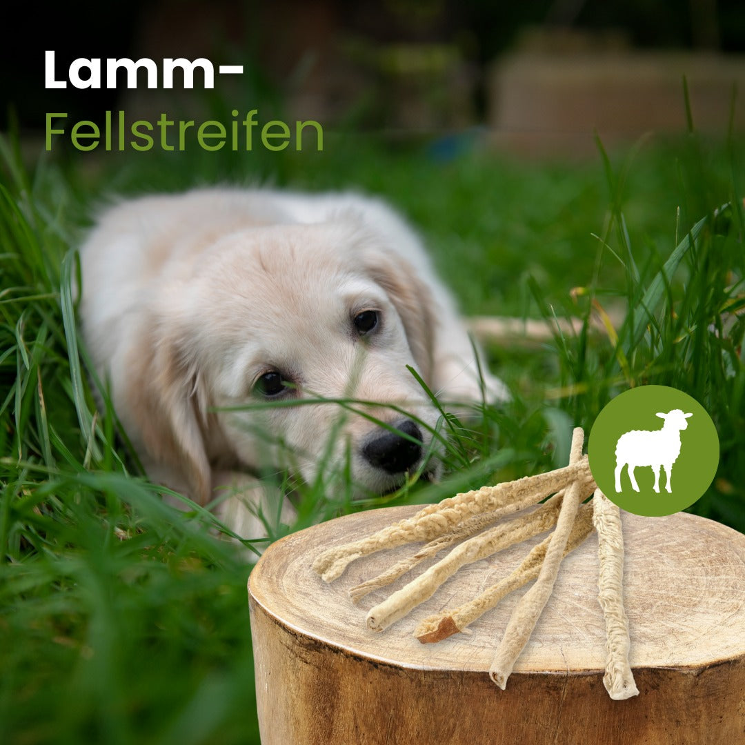 Lamm-Fellstreifen