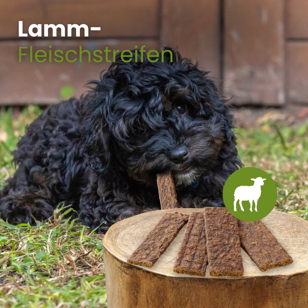 Lamm-Fleischstreifen