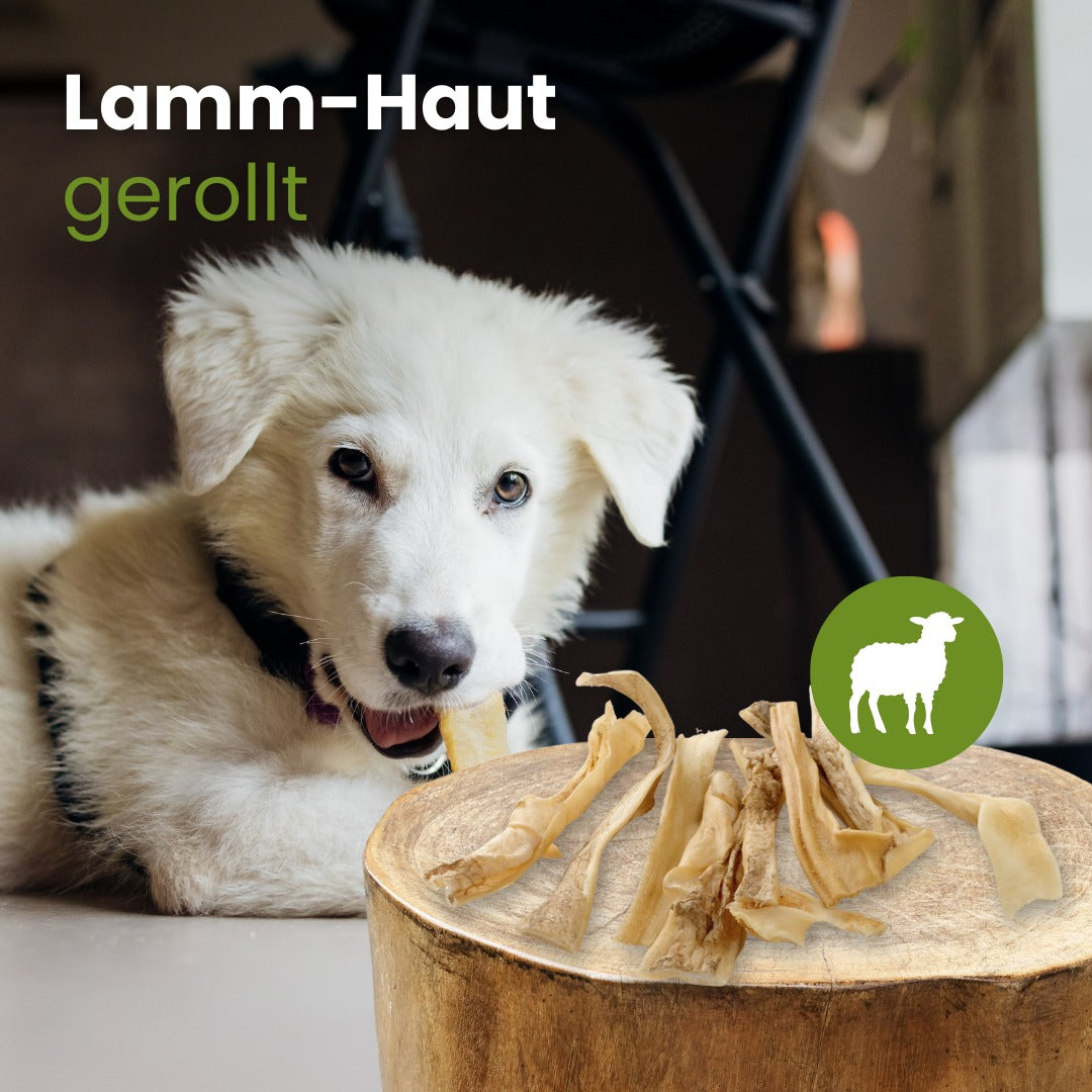 Lamm-Haut, gerollt