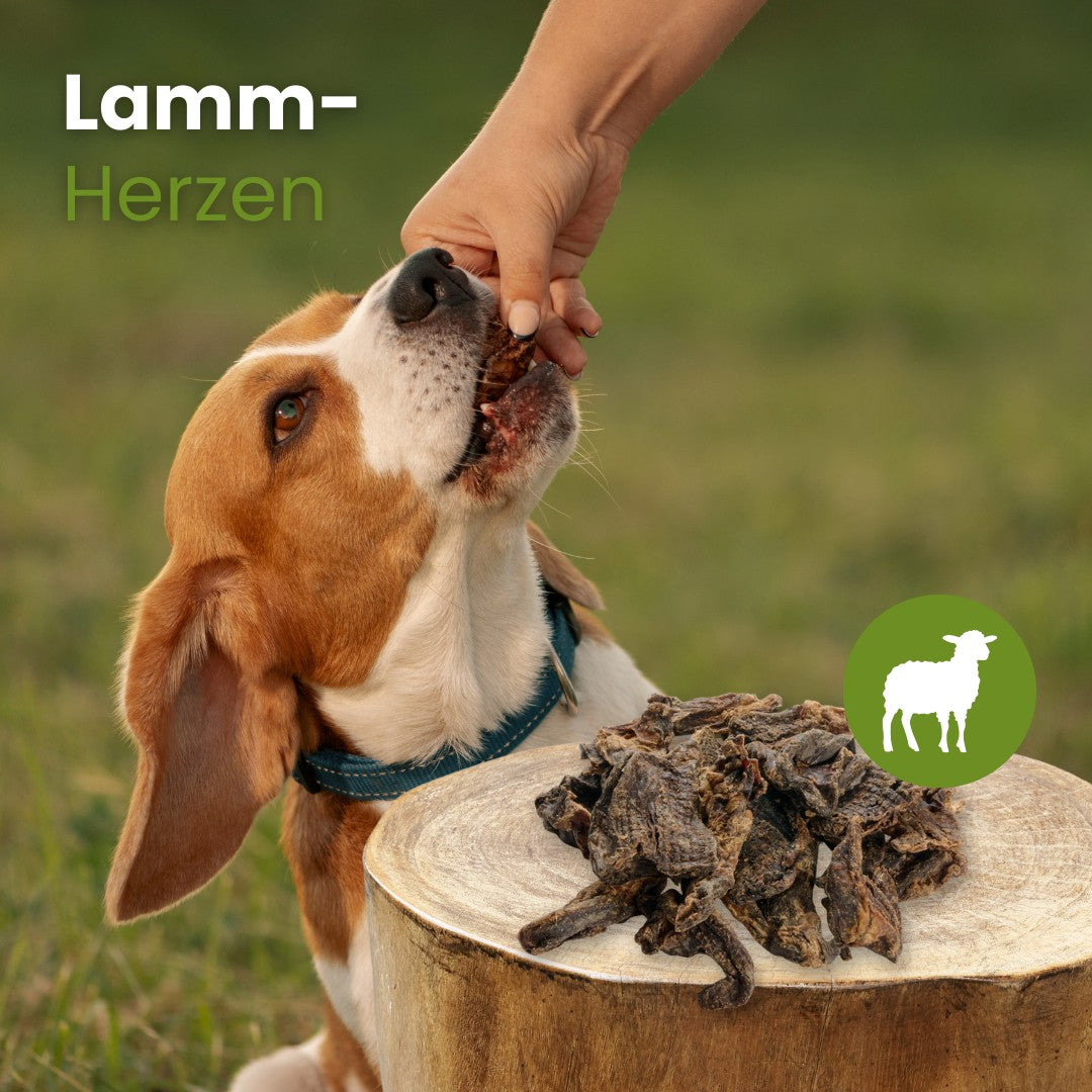 Lamm-Herzen