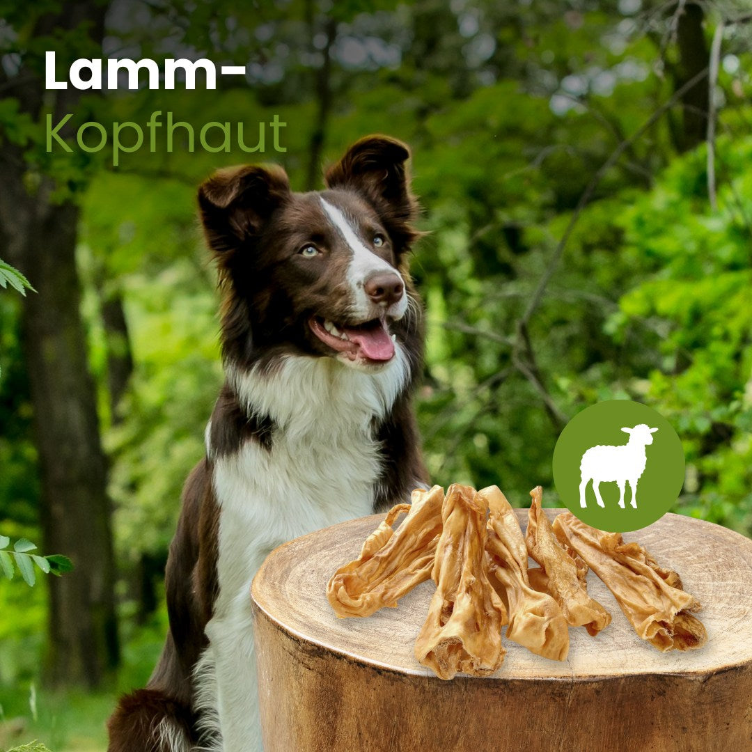 Lamm-Kopfhaut