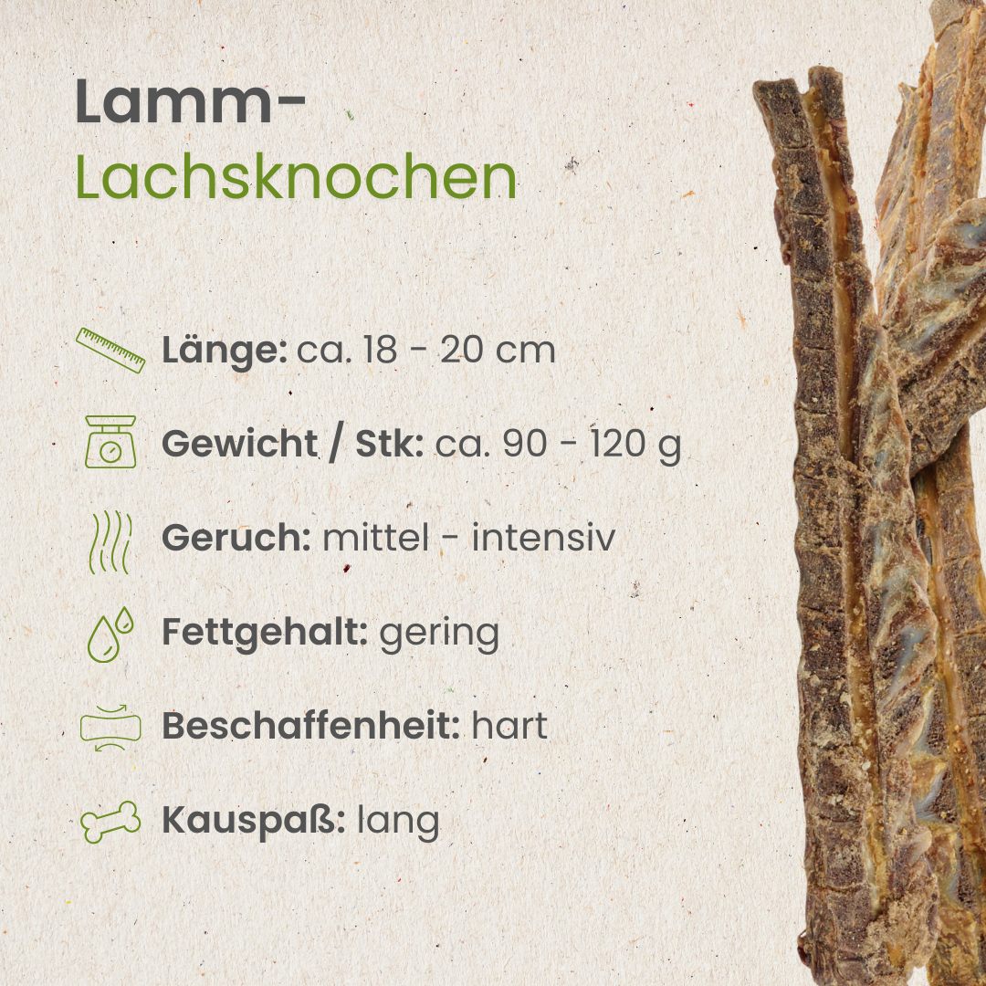Lamm-Lachsknochen