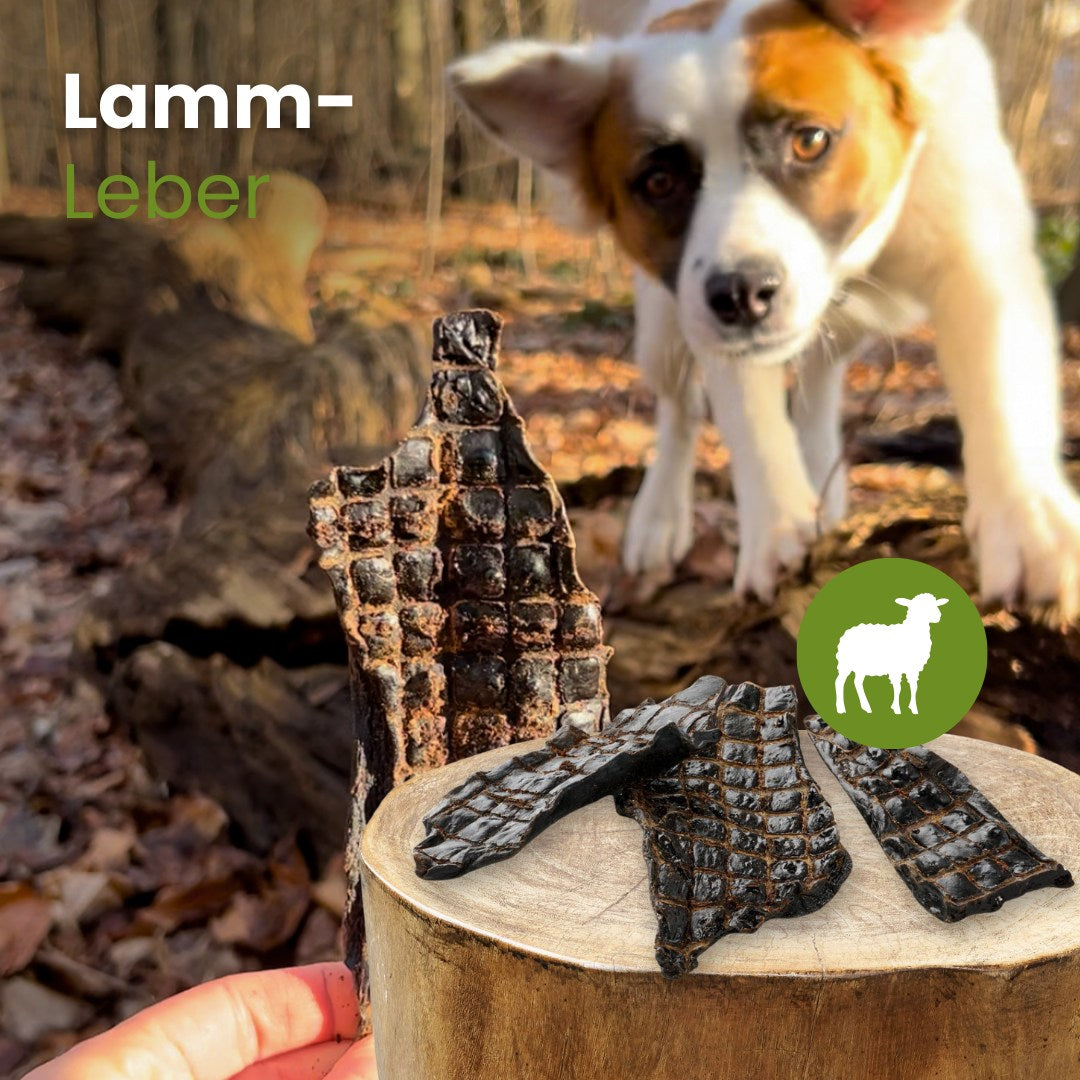 Lamm-Leber