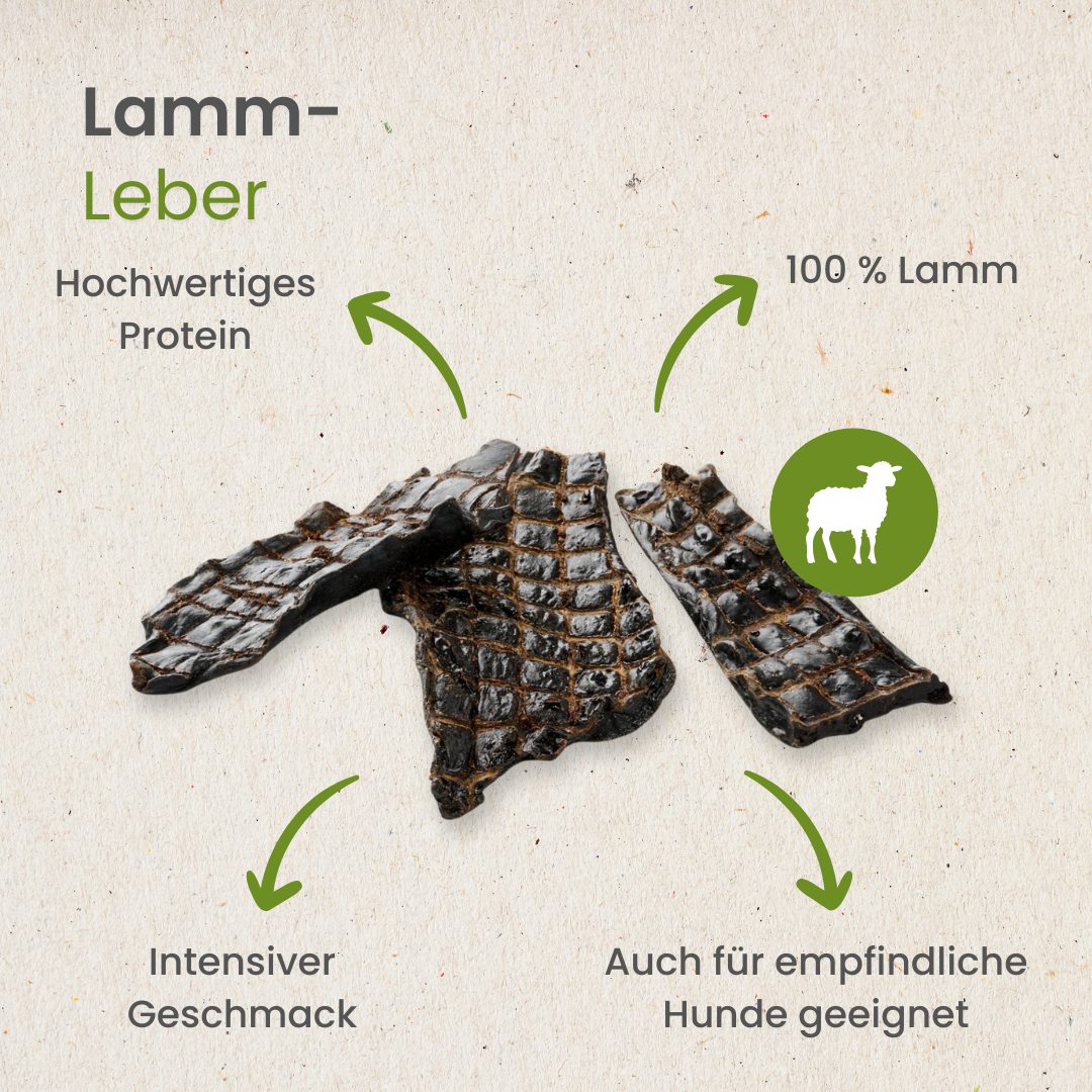 Lamm-Leber