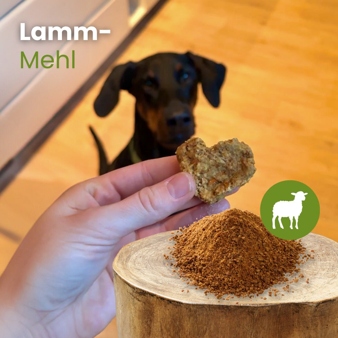 Lamm-Mehl