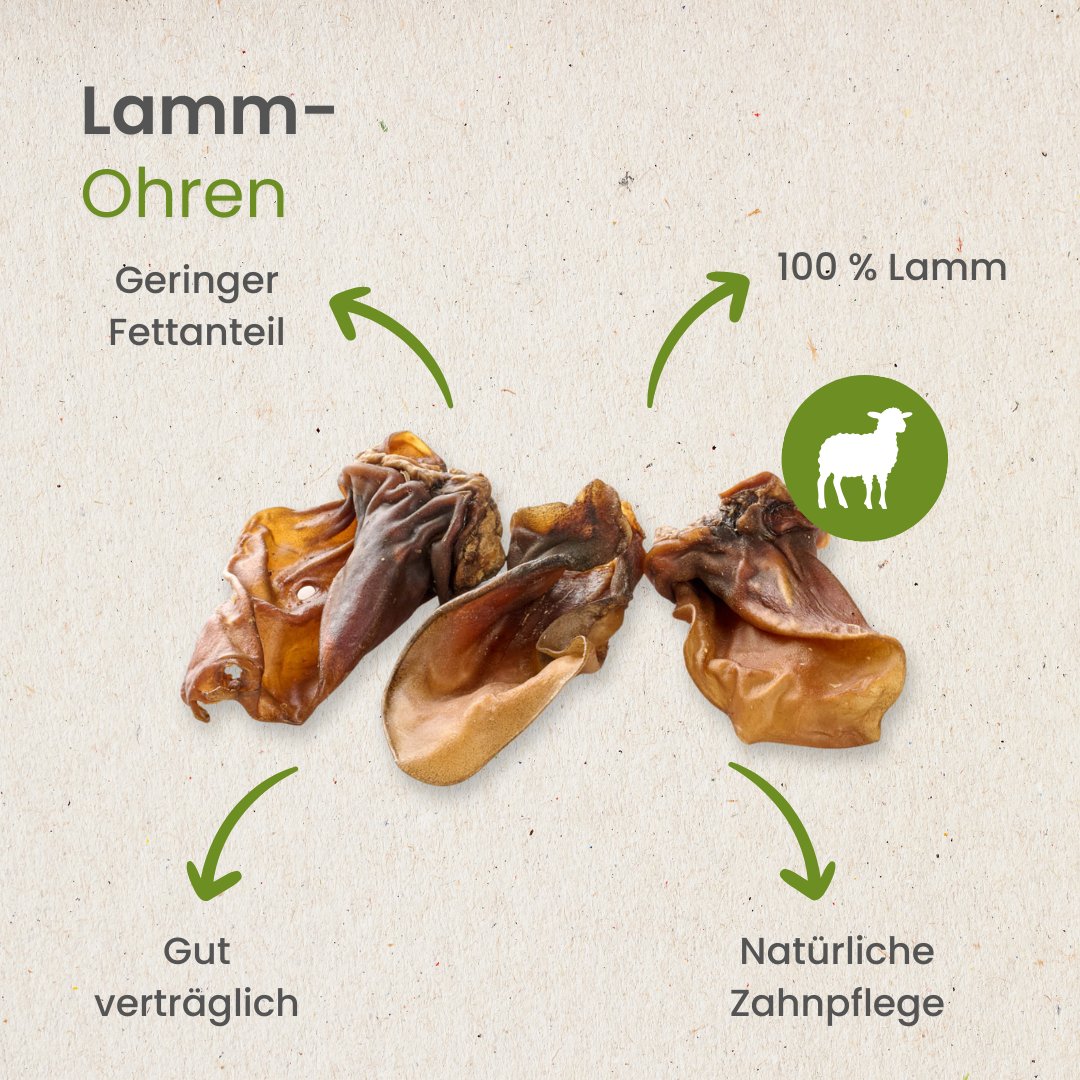 Lamm-Ohren