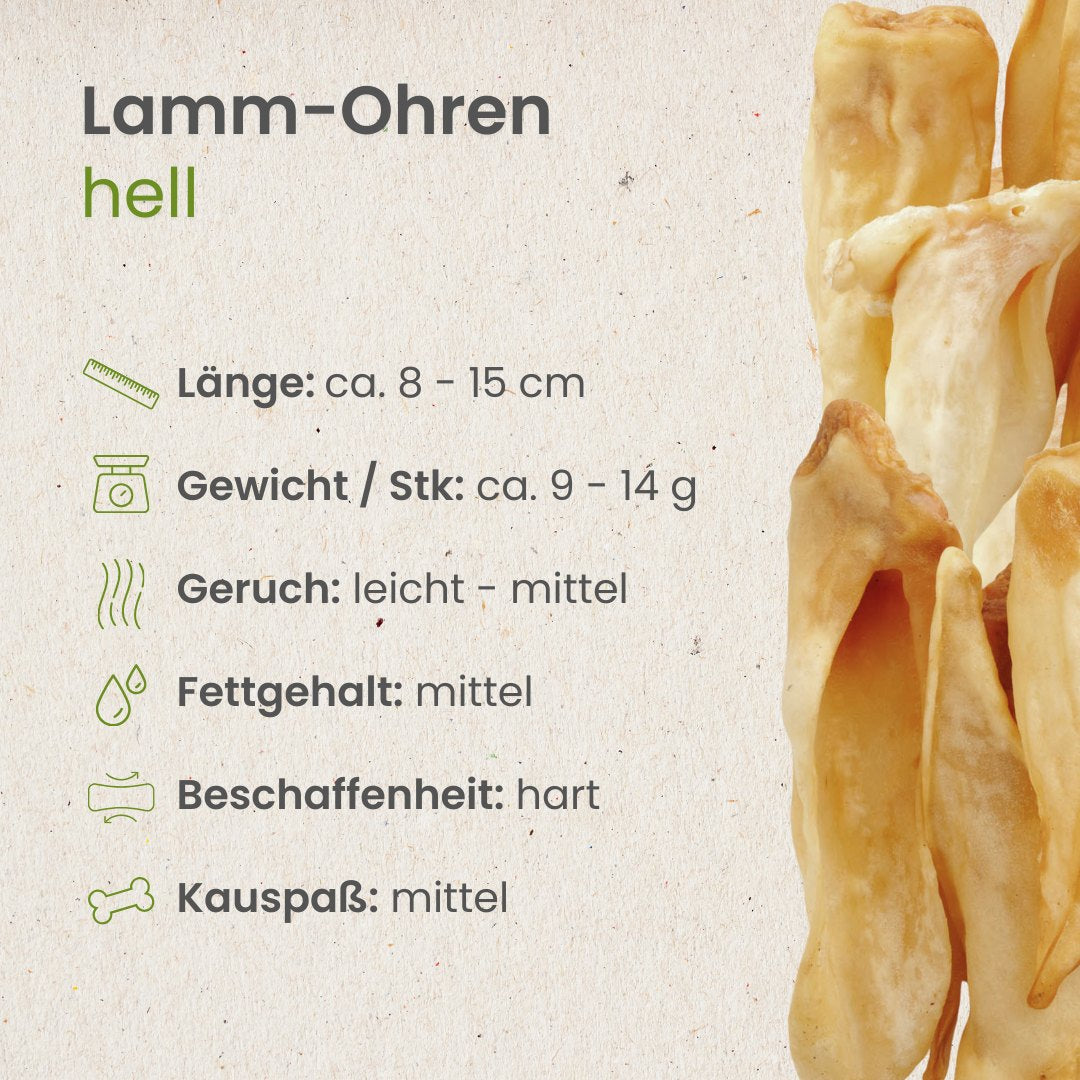 Lamm-Ohren, hell