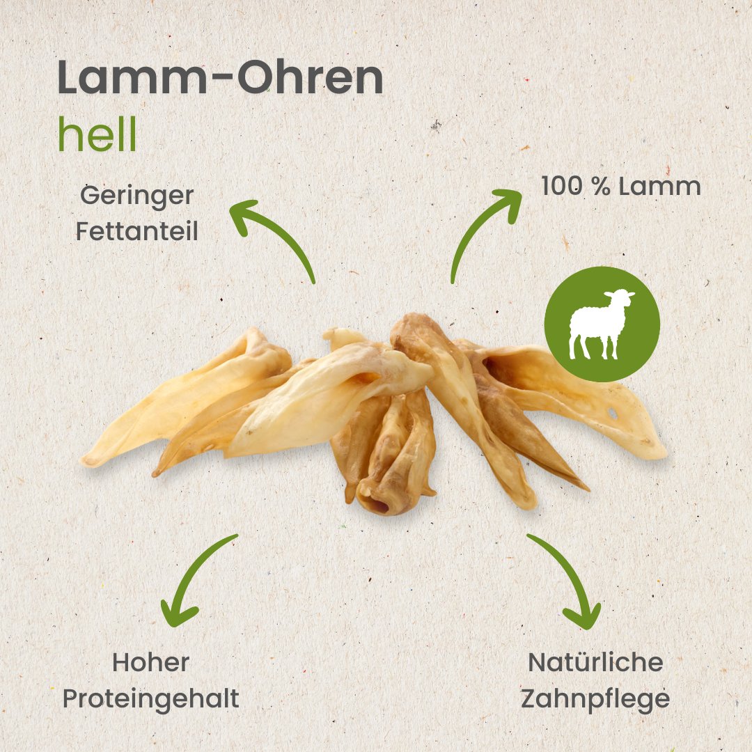 Lamm-Ohren, hell