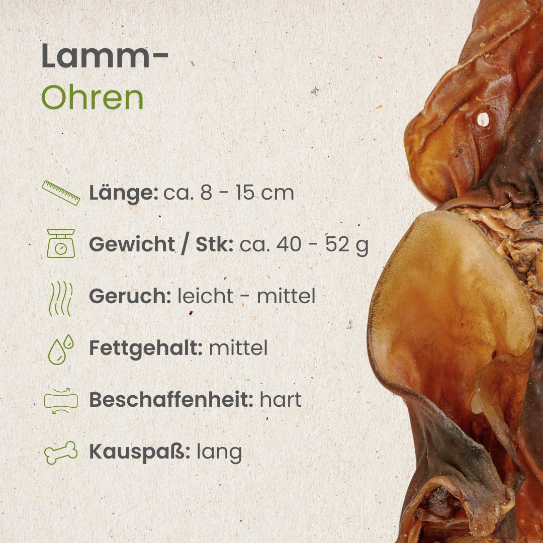 Lamm-Ohren