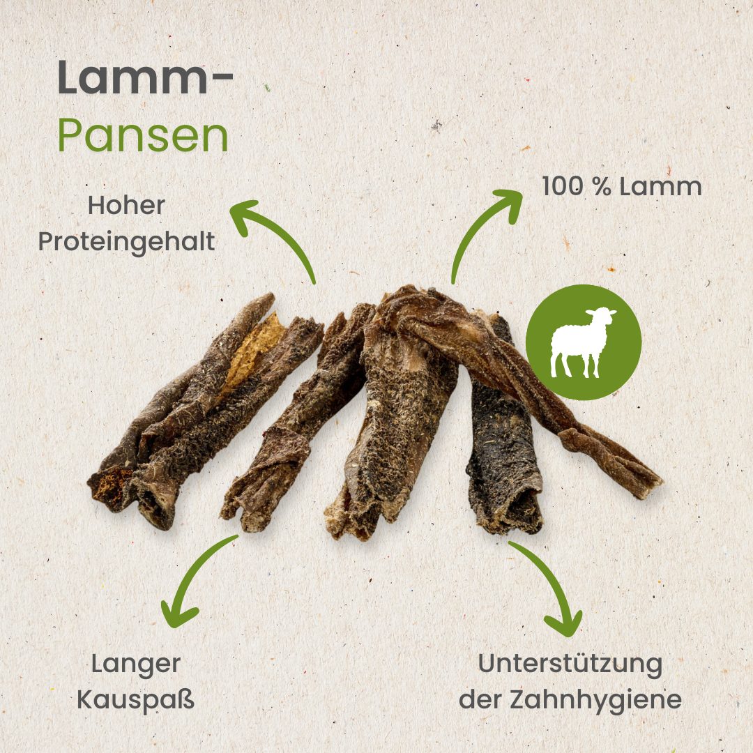 Lamm-Pansen