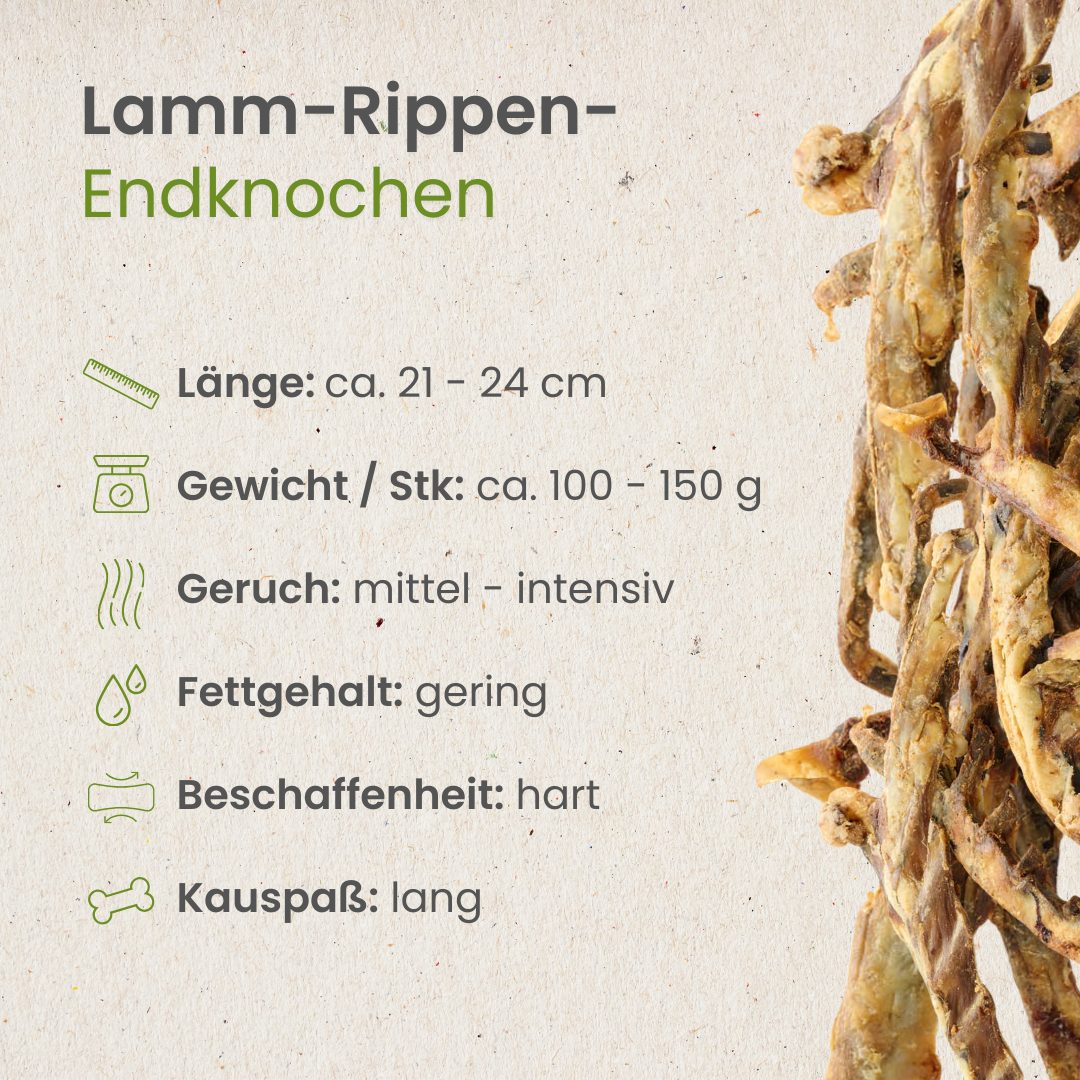 Lamm-Rippen-Endknochen
