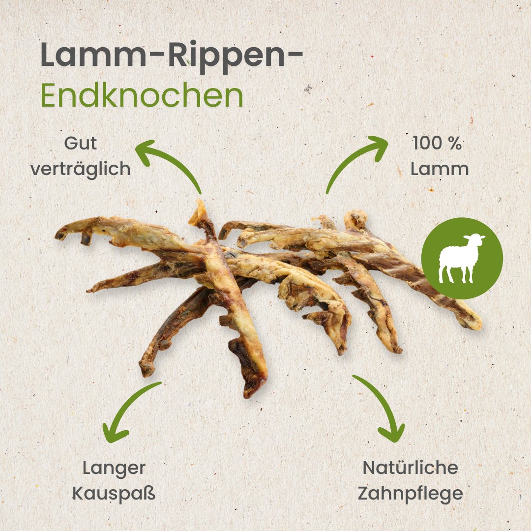 Lamm-Rippen-Endknochen