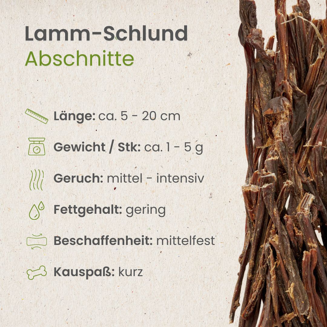 Lamm-Schlund, Abschnitte