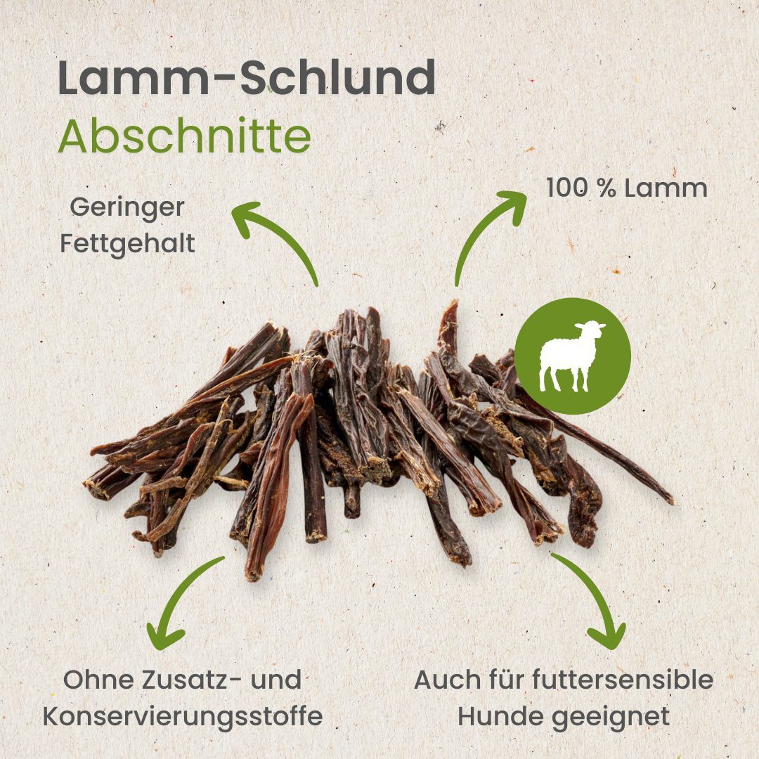 Lamm-Schlund, Abschnitte