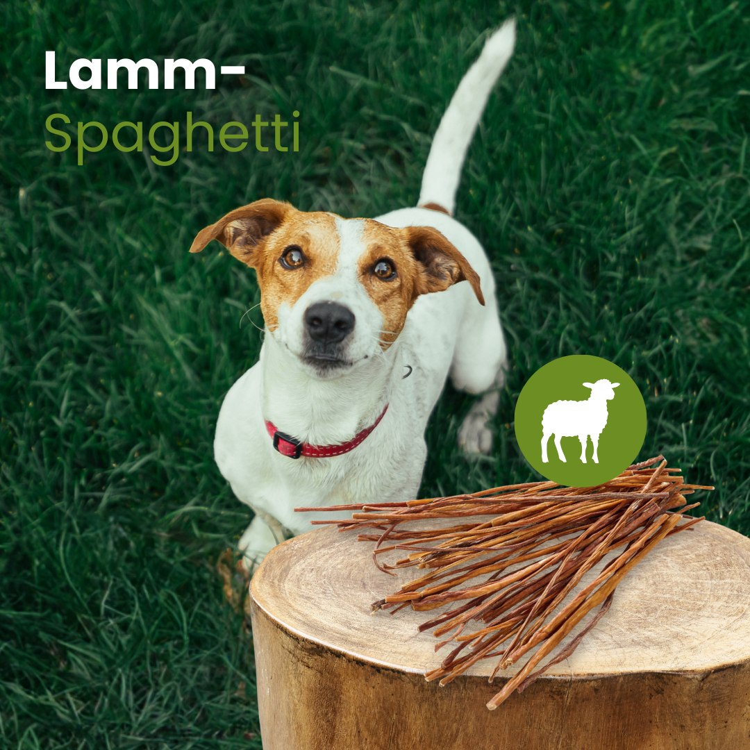 Lamm-Spaghetti