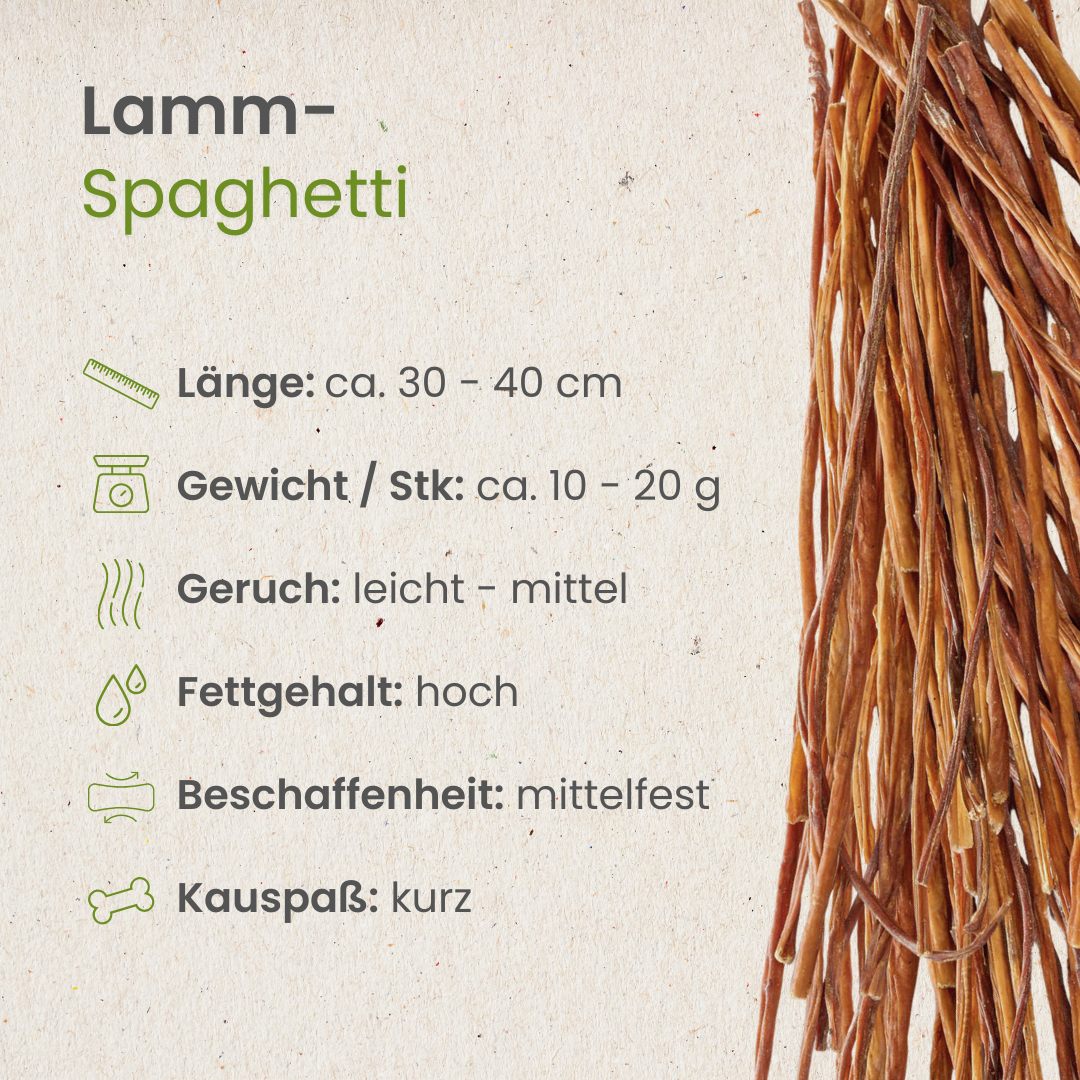 Lamm-Spaghetti