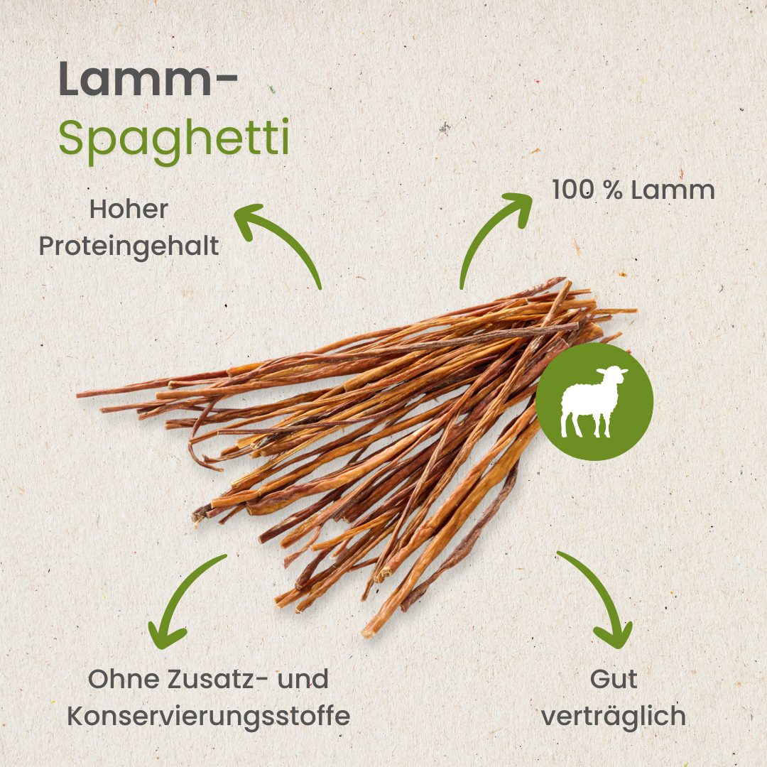 Lamm-Spaghetti