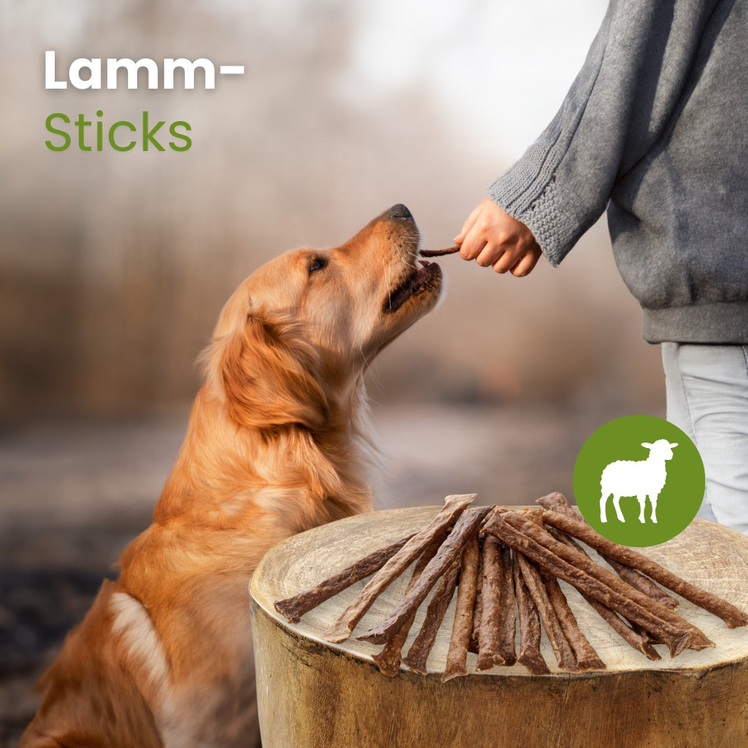 Lamm-Sticks