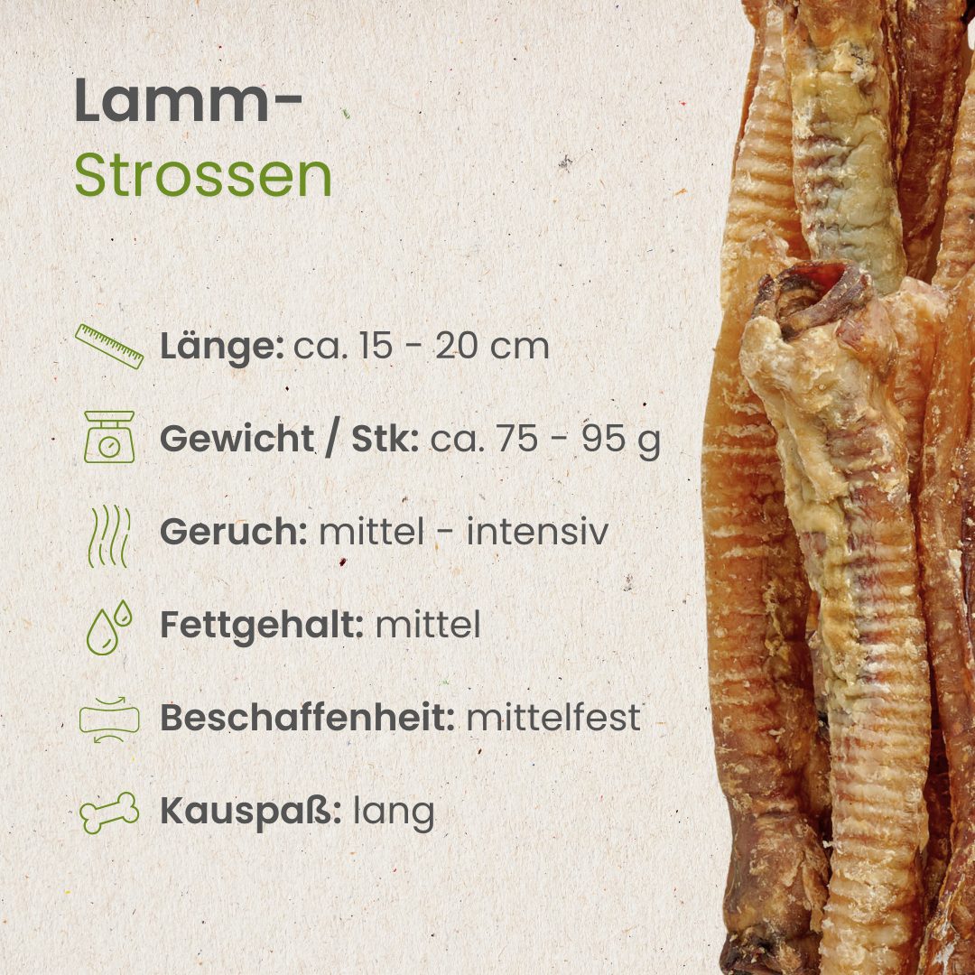Lamm-Strossen