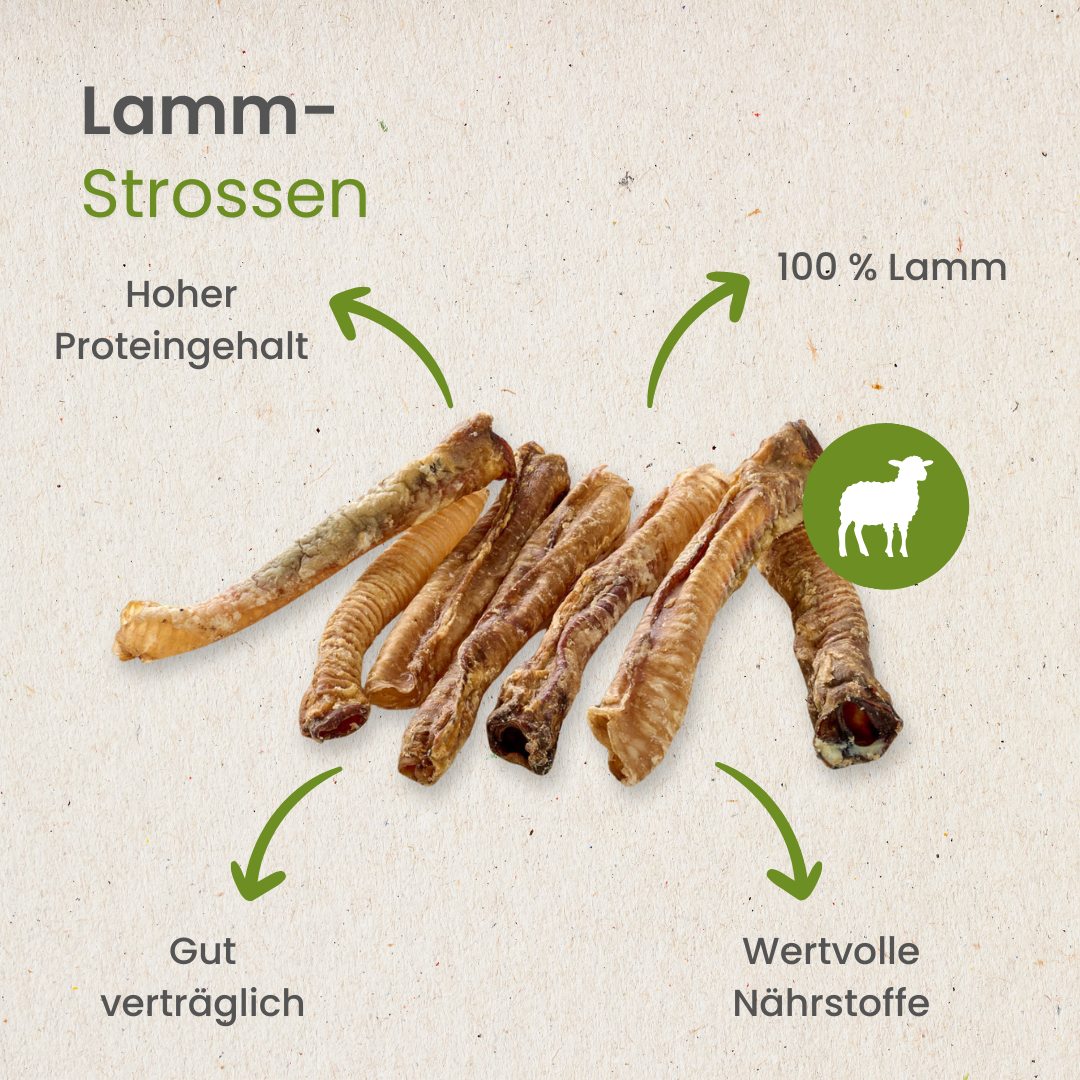 Lamm-Strossen